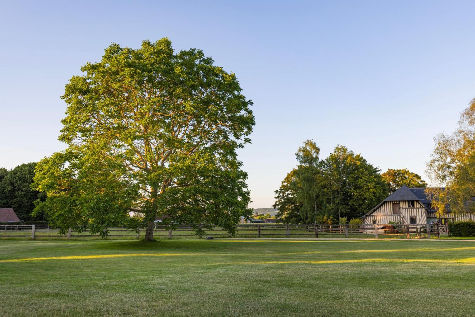 La Maison Corniere Bieville-en-Auge エクステリア 写真
