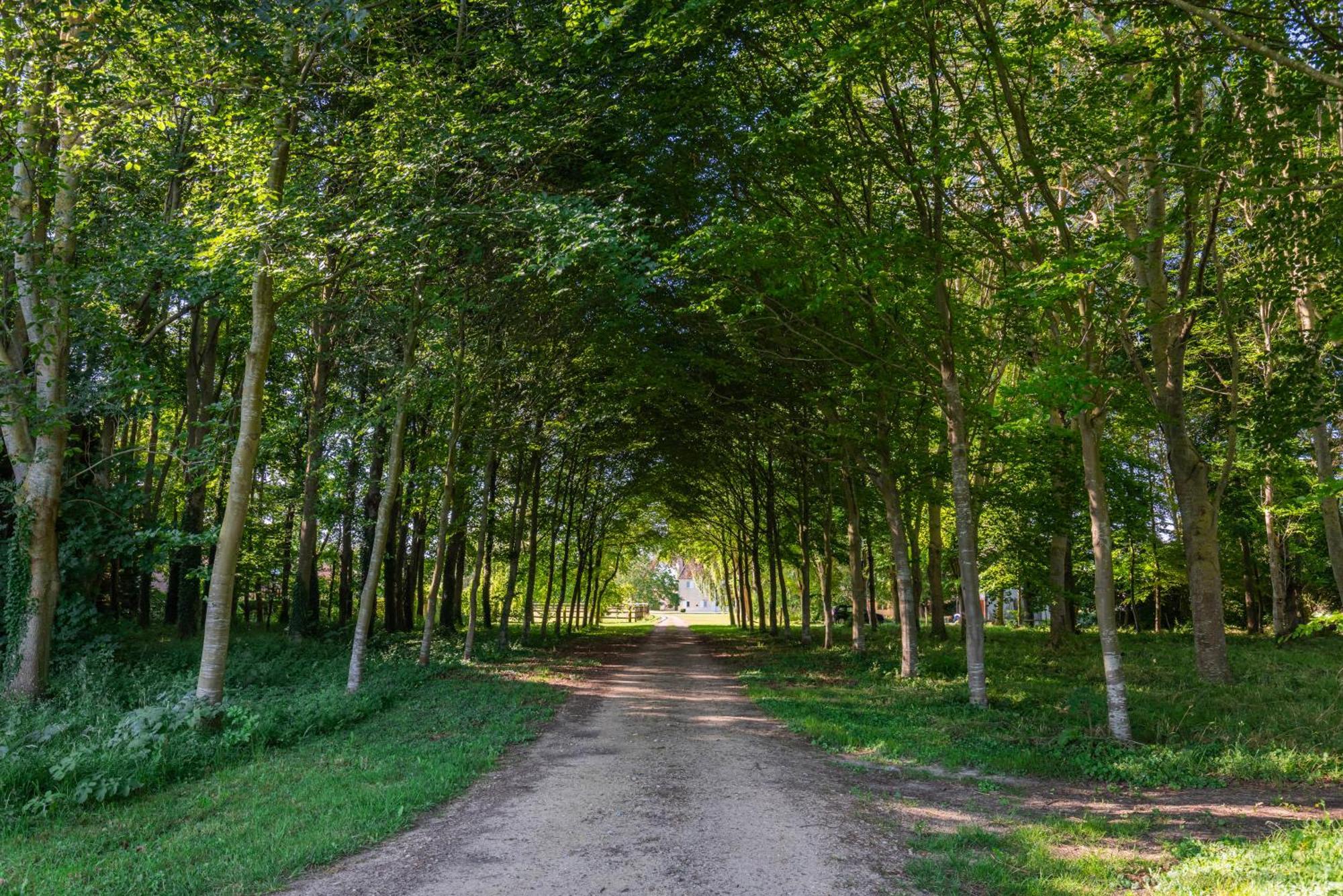 La Maison Corniere Bieville-en-Auge エクステリア 写真